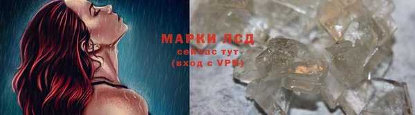 шишки Алзамай