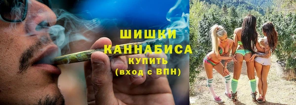 шишки Алзамай