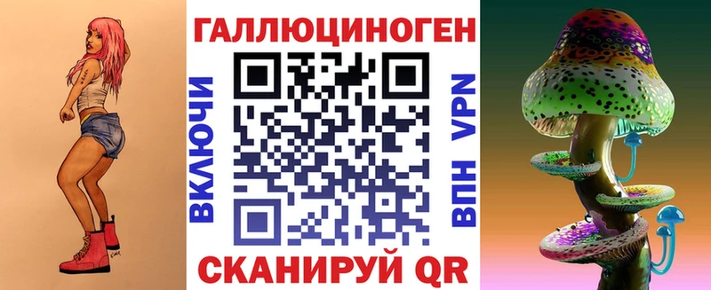 купить   Лахденпохья  Псилоцибиновые грибы Psilocybe 